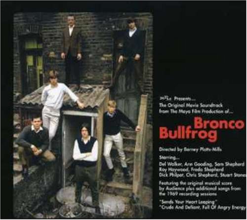 Bronco Bullfrog