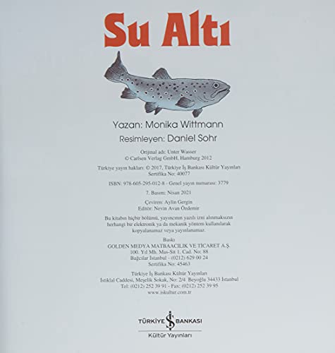 Eğlenceli Bilim – Su Altı