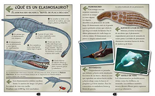 Elasmosaurio. Nadador de Cuello Largo