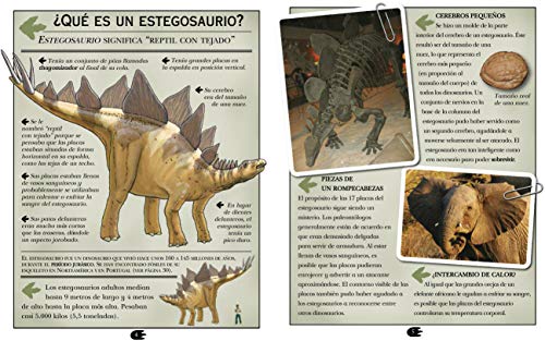 Estegosaurio. El Dinosaurio Con Tejado
