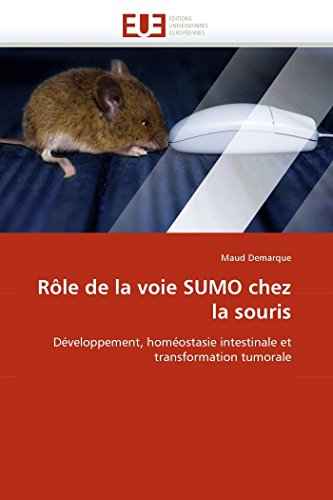 R le de la Voie Sumo Chez La Souris