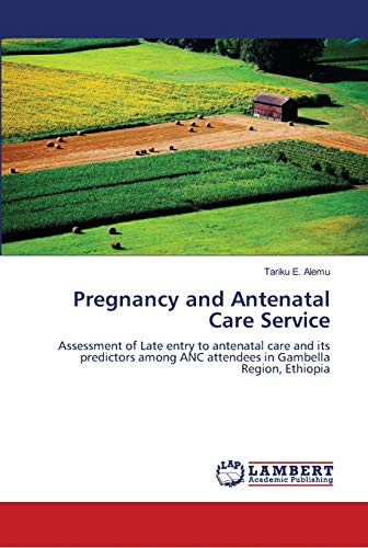 Pregnancy and Antenatal Care Service