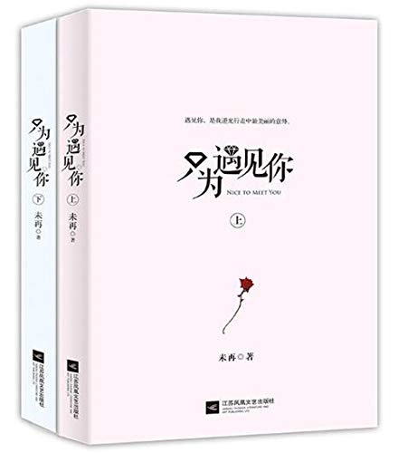 Nice to Meet You (Chinese Edition)