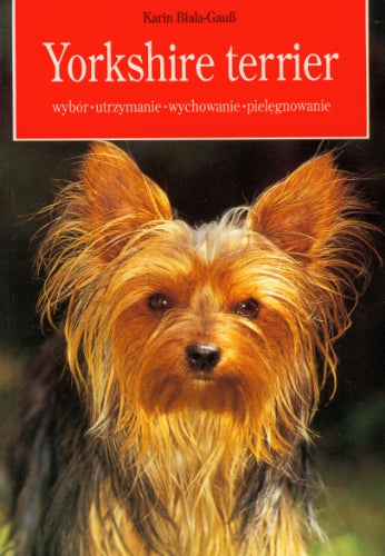 Yorkshire terrier: wybór, utrzymanie, wychowanie, pielęgnowanie