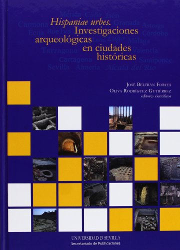 Hispaniae Urbes: Investigaciones Arqueologicas En Ciudades Historicas: 203 (Historia y Geografía)