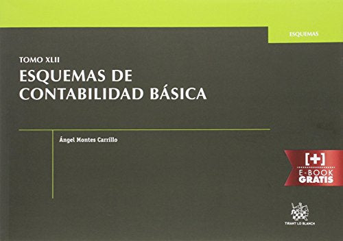 Tomo XLII Esquemas de Contabilidad Básica