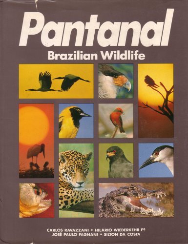 Pantanal Brazilian Wildlife