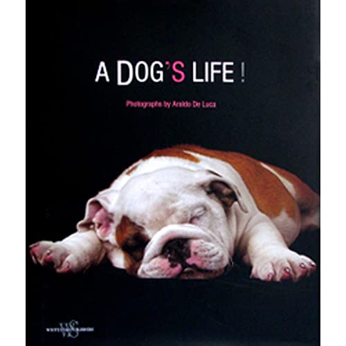Dog's Life