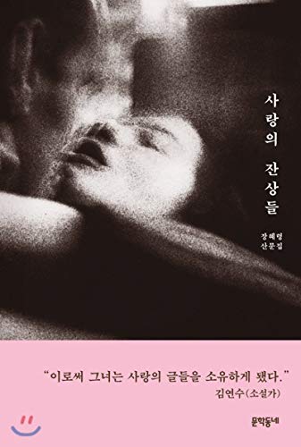 Afterimages of love (Korean Edition)
