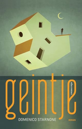 Geintje: roman