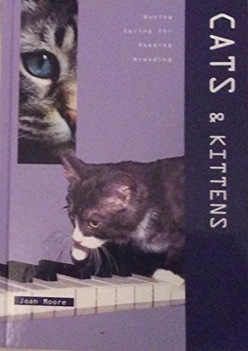 Cats & Kittens