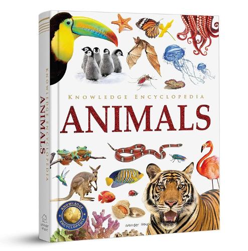 Knowledge Encyclopedia