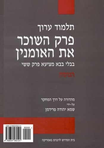 Talmud Arukh: BT Bava Mezi'a VI, Text: Critical Edition with Comprehensive Commentary (Hebrew Edition)