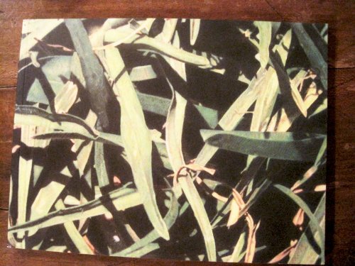 SEMEJANZA, TRES SERIES De Ilan Lieberman