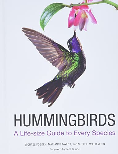 Hummingbirds