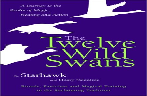 Twelve Wild Swans