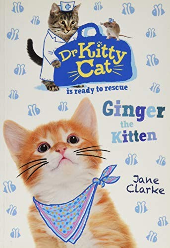 Dr KittyCat is ready to rescue: Ginger the Kitten