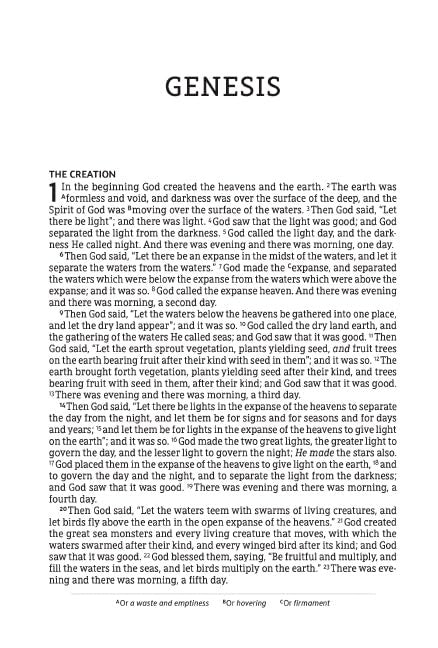 NASB, Thinline Bible, Large Print, Passaggio Setting, Leathersoft, Brown, Red Letter, 1995 Text, Comfort Print