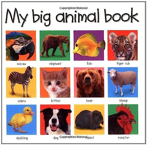 My Big Animal Book