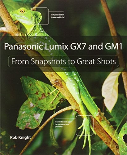 Panasonic Lumix GX7 and GM1