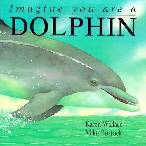 Dolphin