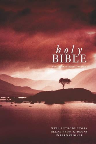 NIV Popular with Helps, Hardback