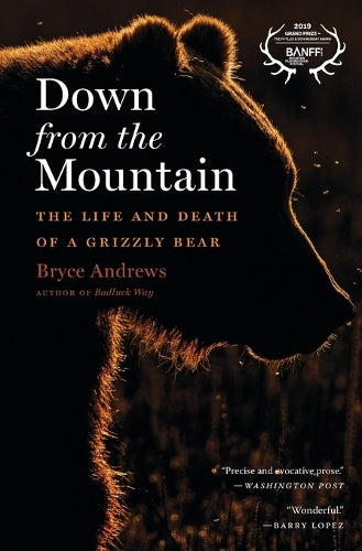 Down from the Mountain