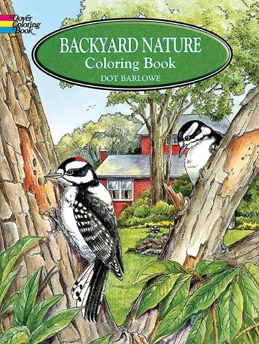 Backyard Nature Coloring Book