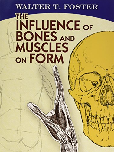 The Influence of Bones and Muscles on Form