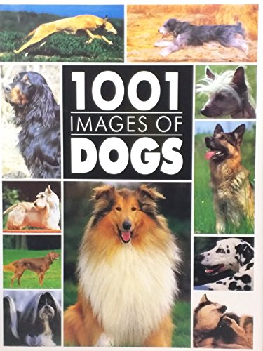 1,001 Images of Dogs
