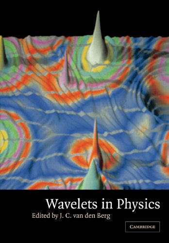 Wavelets in Physics