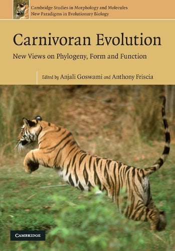 Carnivoran Evolution
