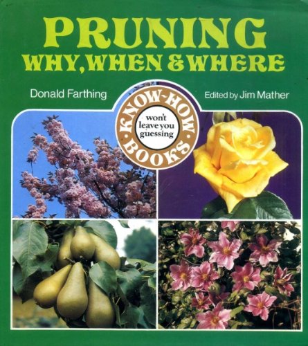 Pruning - Why, When and Where
