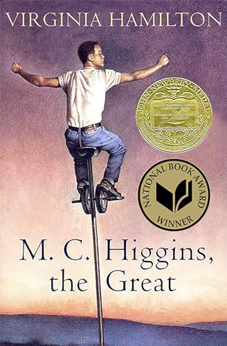 M.C. Higgins, the Great