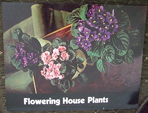 Flowering House Plants