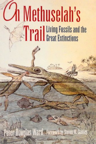 On Methuselah's Trail
