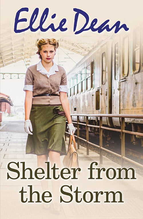 Shelter From The Storm