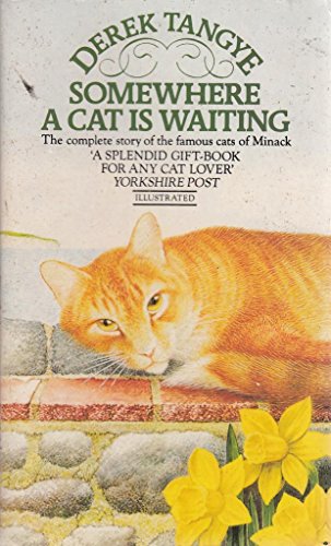 Somewhere a Cat is Waiting