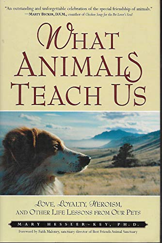 Life Lessons Animals Teach Us