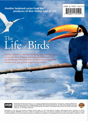 The Life of Birds