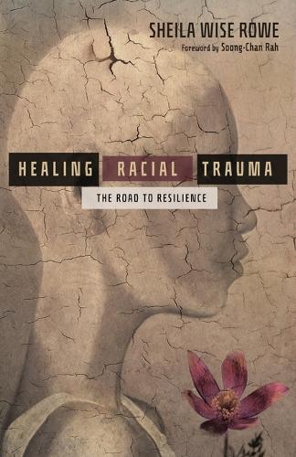Healing Racial Trauma The Road to Resilience