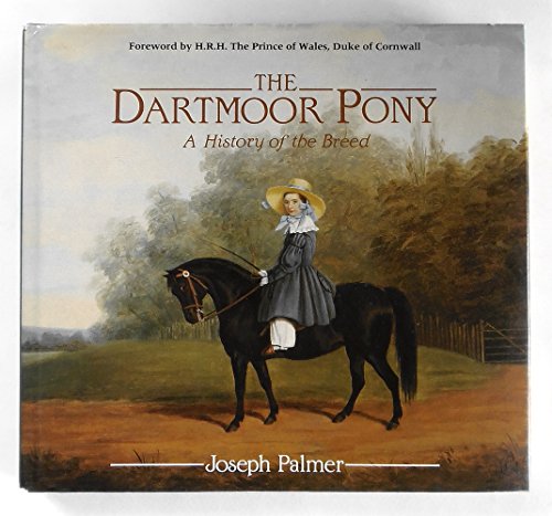 The Dartmoor Pony