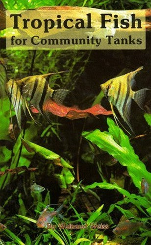 Tropical Fish for Community Tanks
