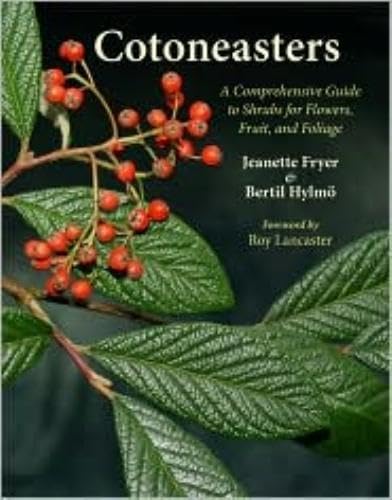 Cotoneaster Comprehensive Guide to Shrubs