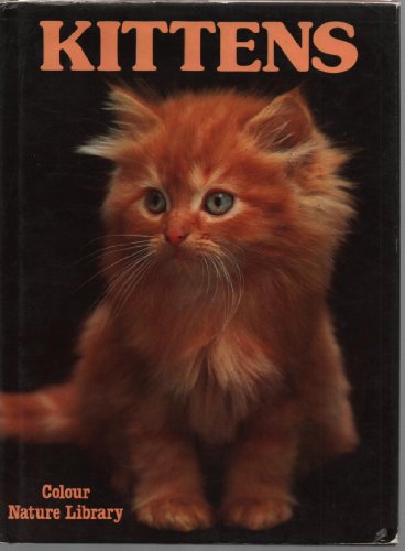 KITTENS
