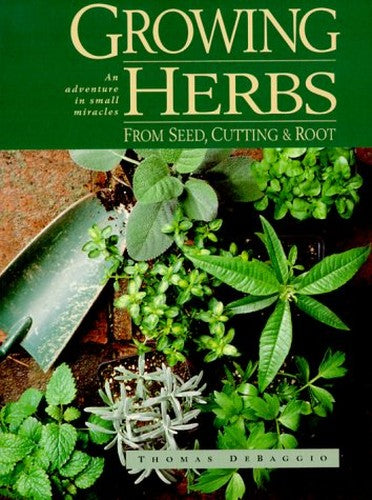 Growing Herbs from Seed, Cutting and Roots