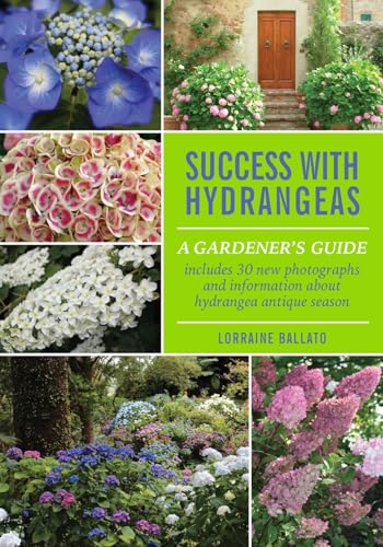 Success With Hydrangeas