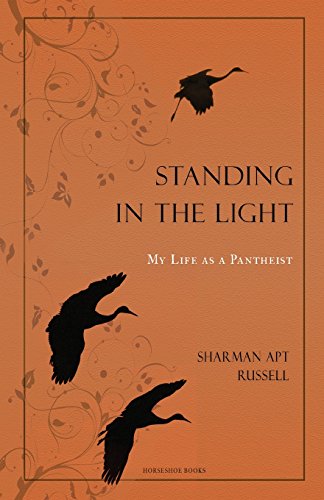 Standing In The Light