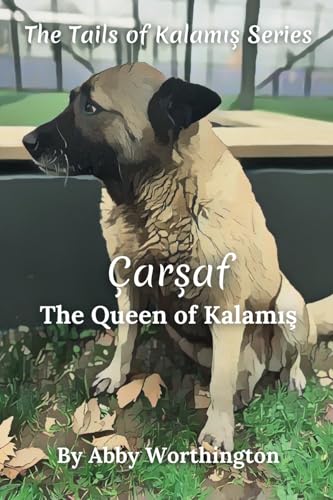 Çarşaf - The Queen of Kalamış (Tails of Kalamış)