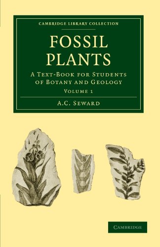 Fossil Plants